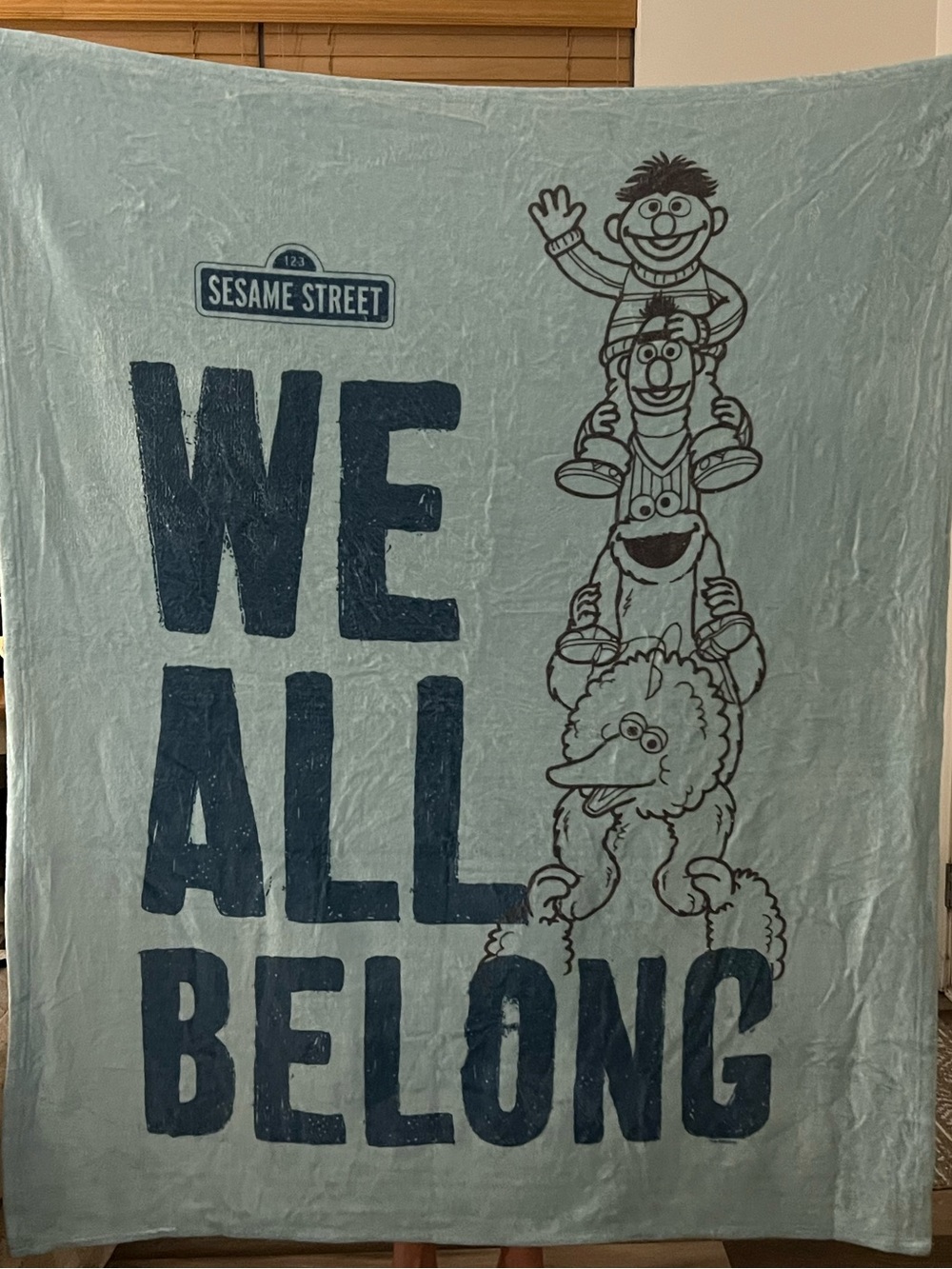 Sesame Street Light Blue "We All Belong" Throw Blanket with Character Stack